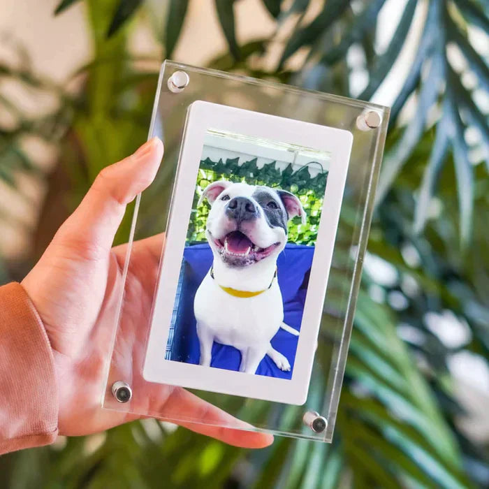 Digital Video Frame